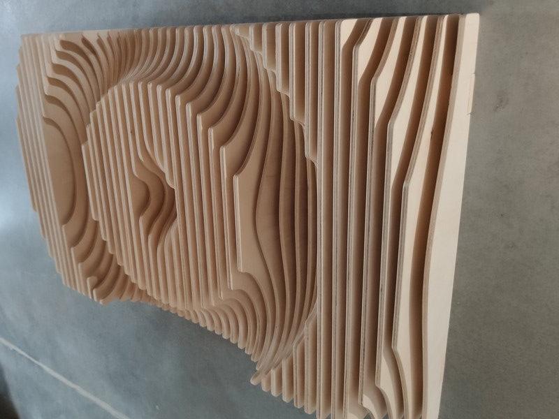 Parametric Wood Wall Art - Wood Home Art